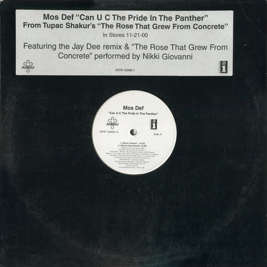 Mos Def – Can U C The Pride In The Panther